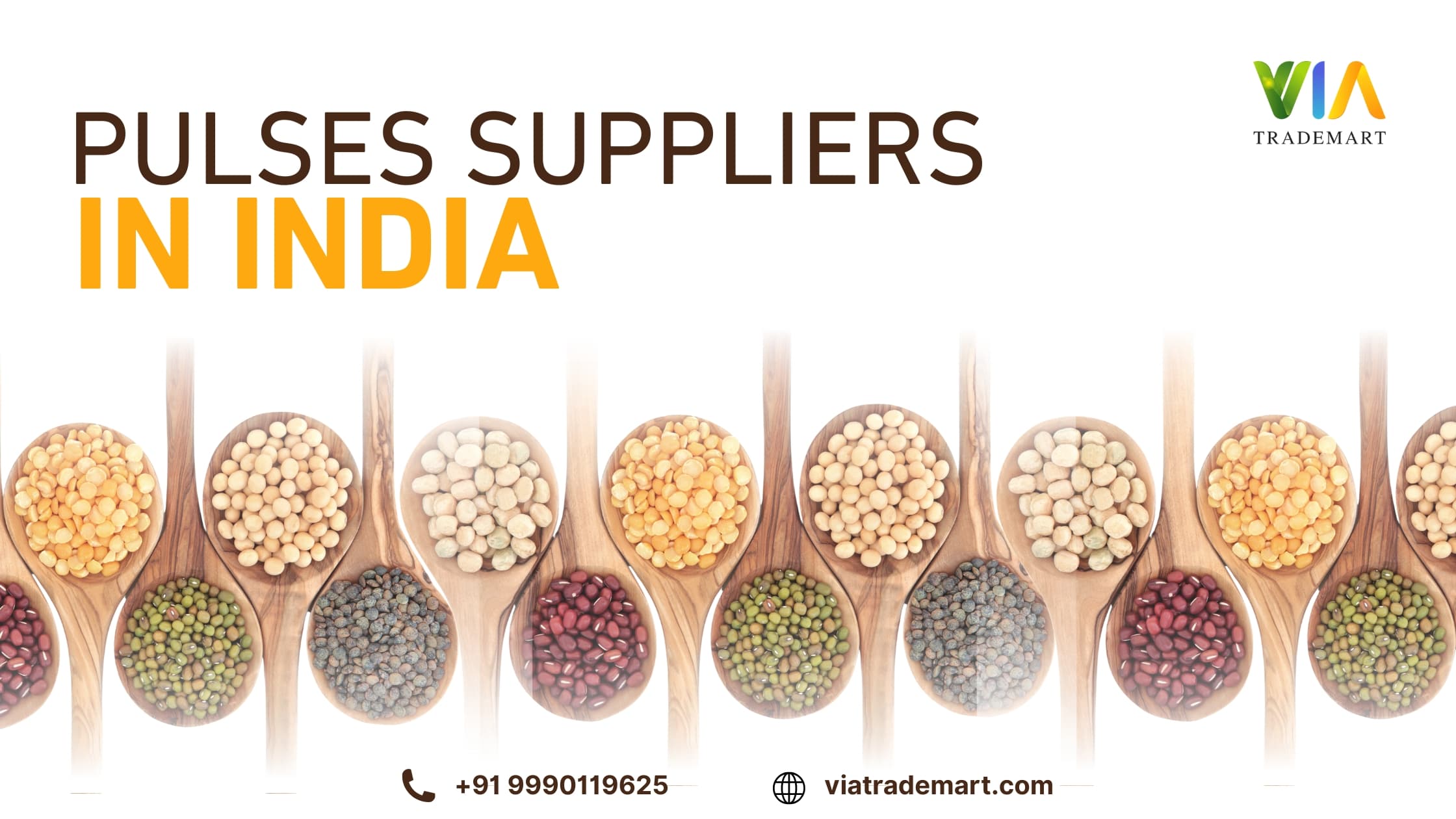 Pulses Suppliers in India | Connect with Trusted Dal & Organic Pulse Traders