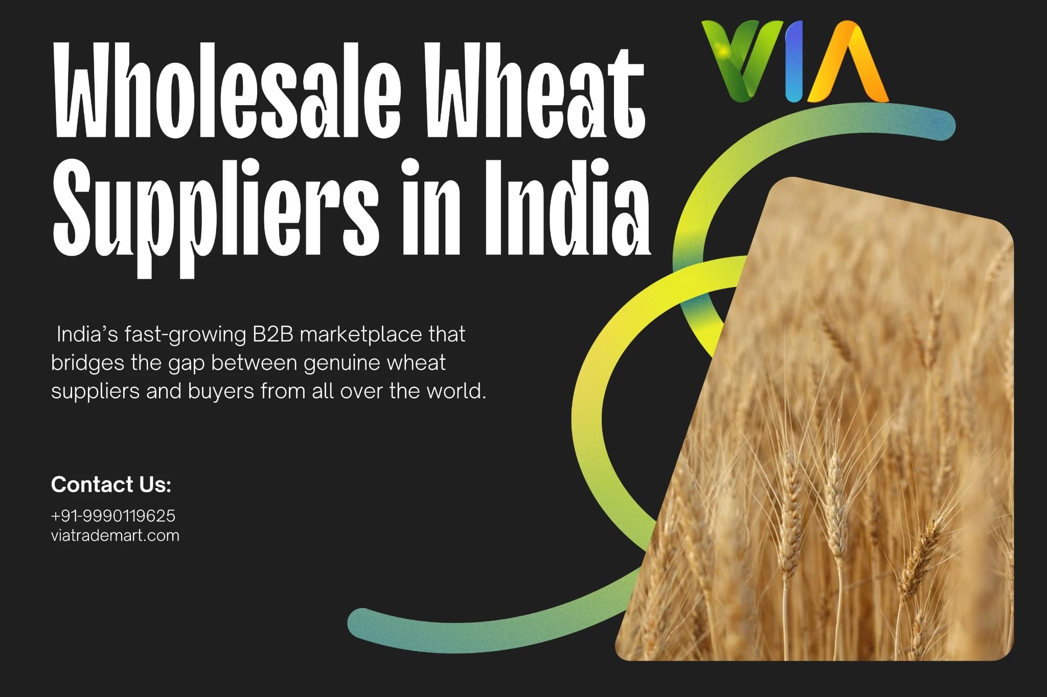 Wholesale Wheat Suppliers in India — via Viatrademart.com